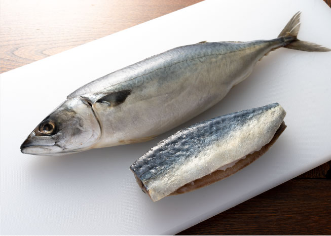 脂ののった鯖 画像