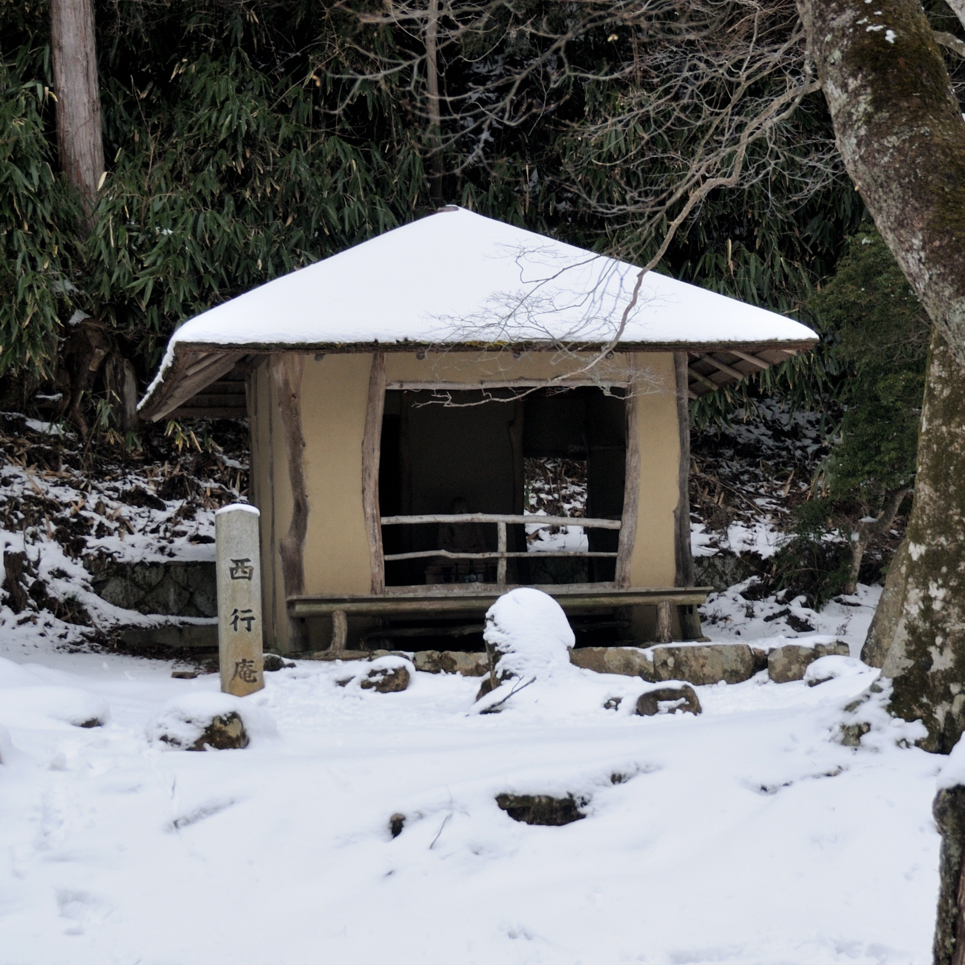 【季節の便り】冬の吉野山散策