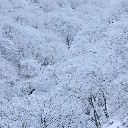 吉野の冬景色