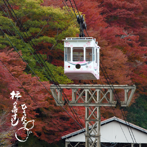 日本最古のロープウェイが吉野に現存していることをご存知ですか？