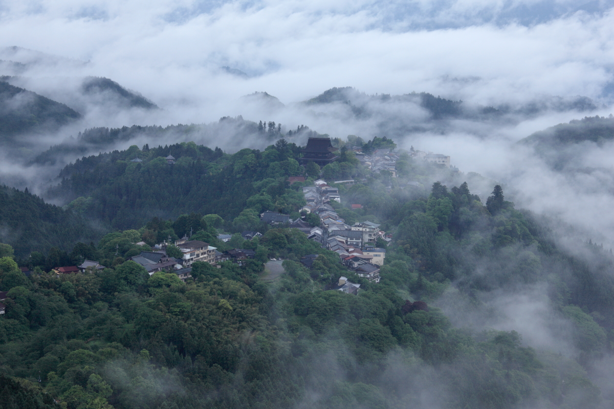 【季節の便り】吉野桜紅葉(さくらもみじ)