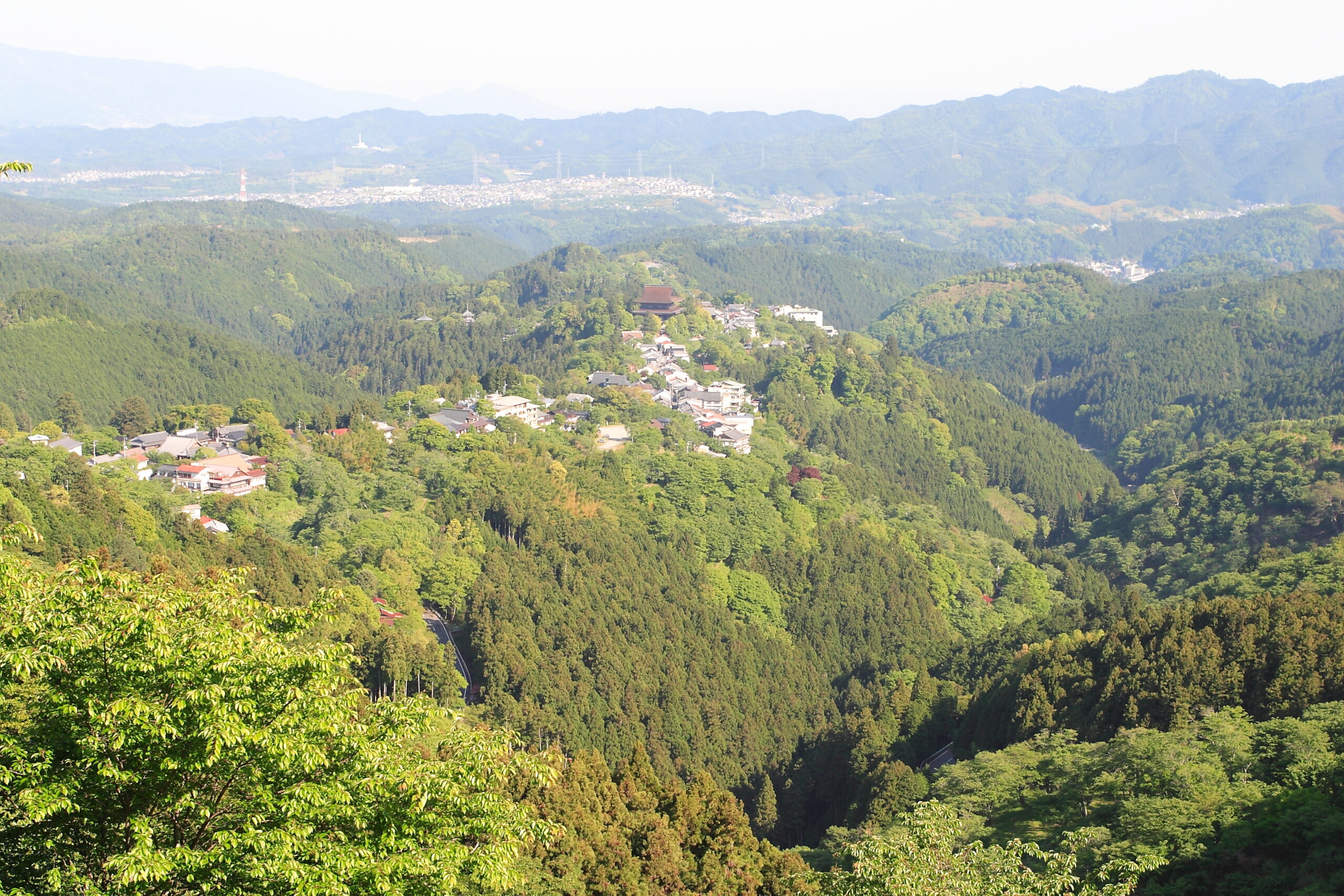 【季節の便り】秋の吉野散策