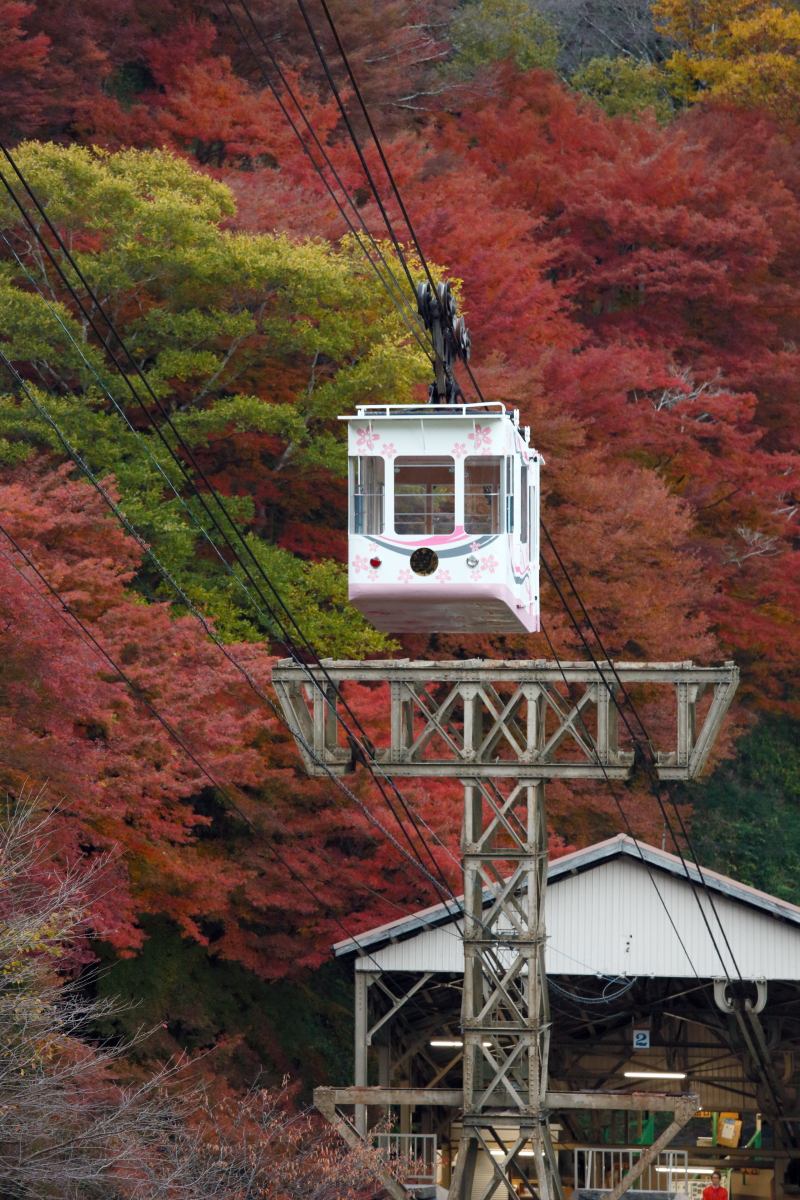 【季節の便り】秋の吉野散策
