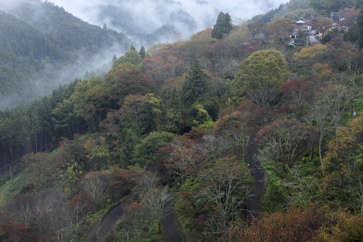 【季節の便り】冬の吉野山