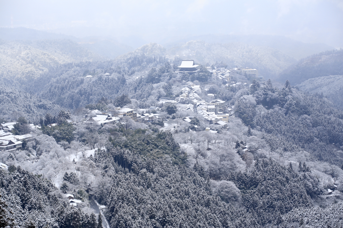 あけましておめでとうございます