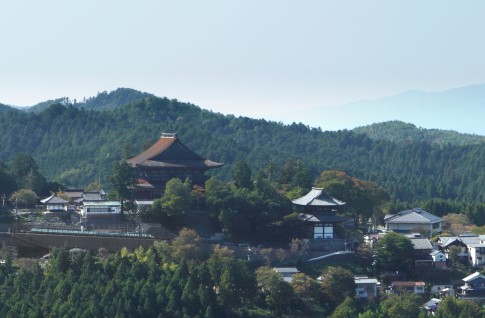 「花見の宴」のお話