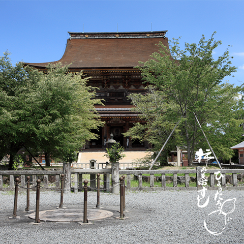 吉野の桜以外の見所