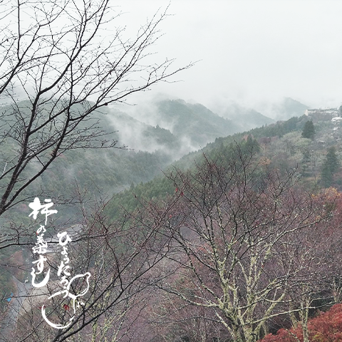 紅葉も落葉し、冬の装い