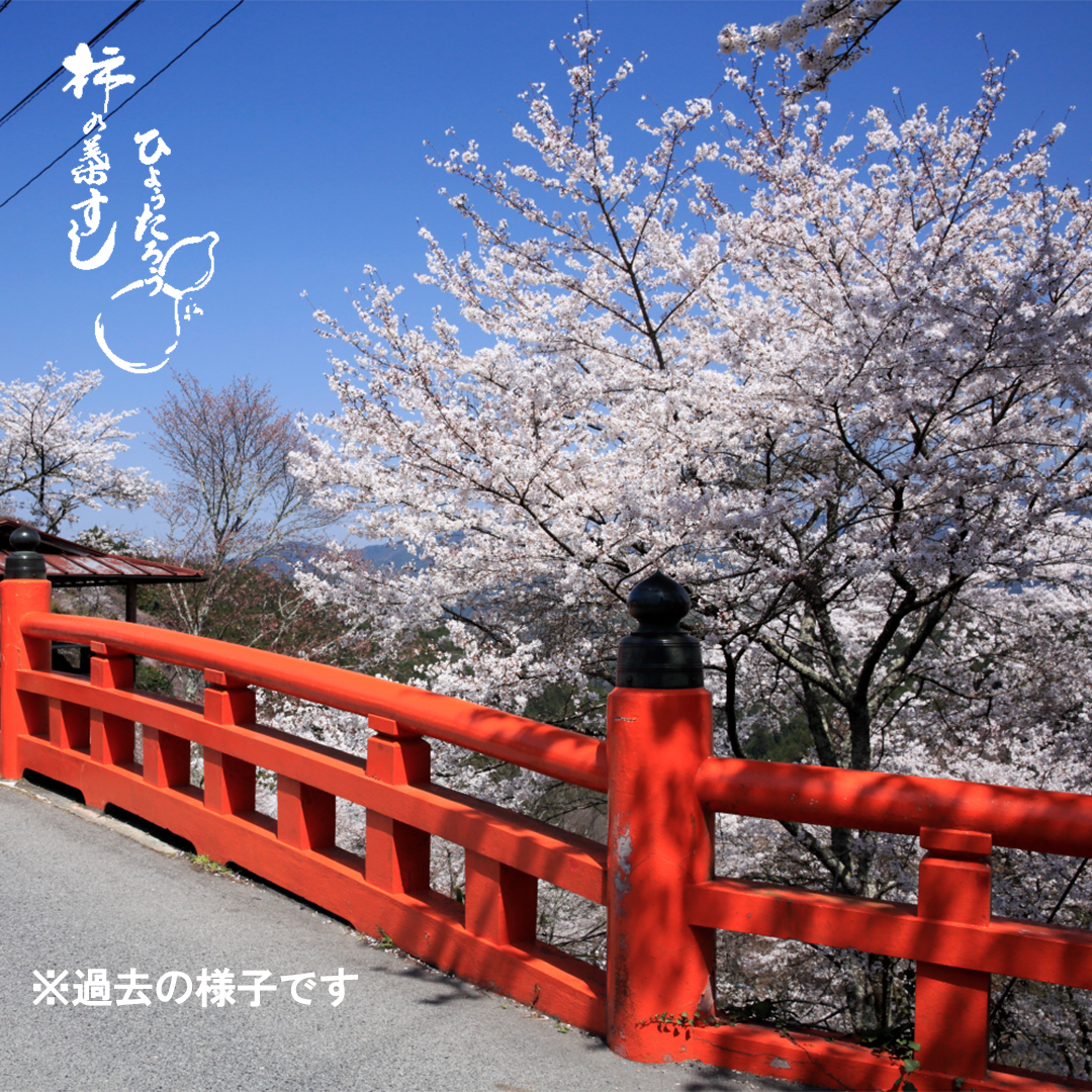 桜咲く６００度の法則―桜の開花予想